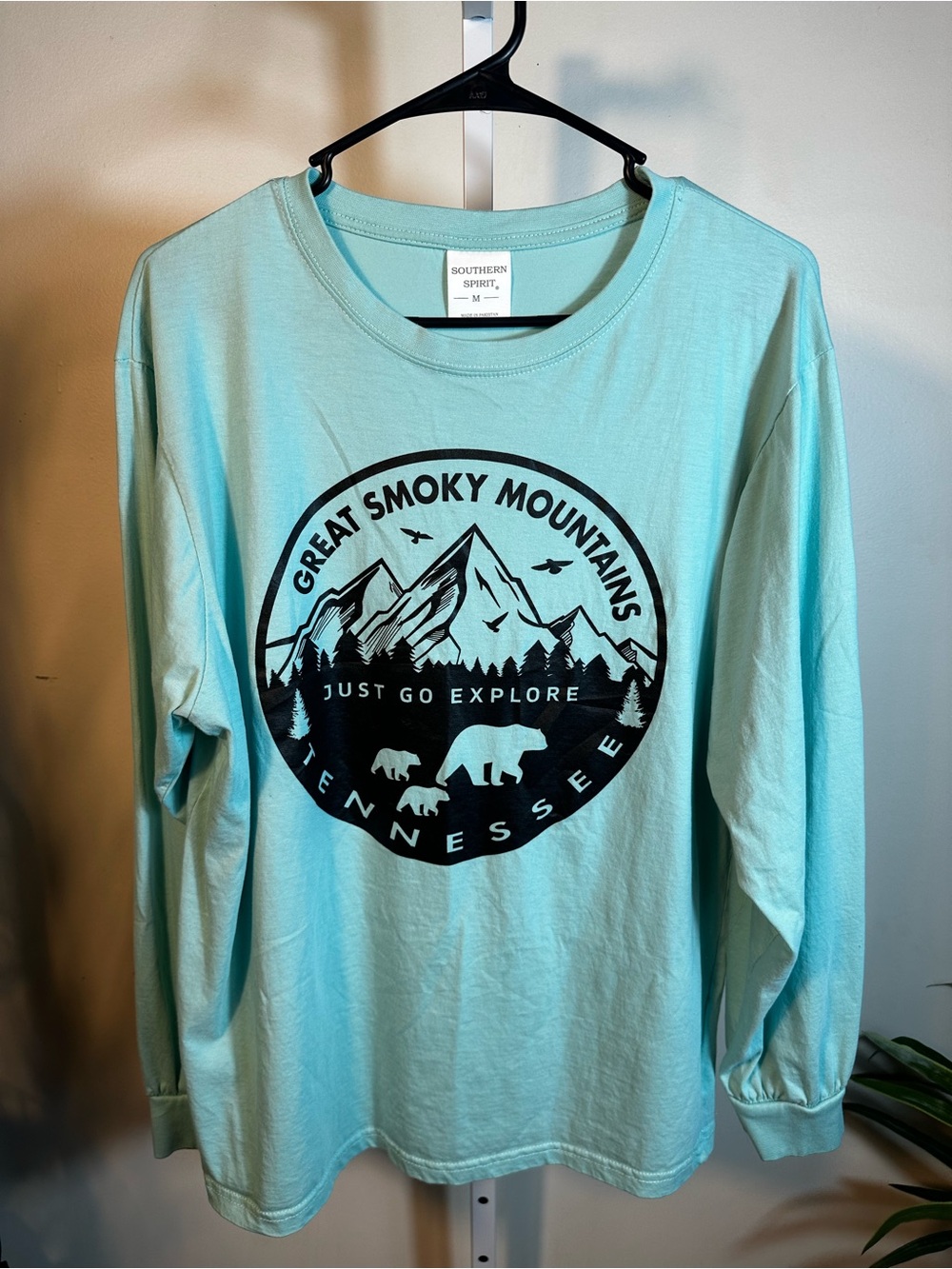 P262. Southern Spirit Great Smokey Mountains- Medium Crewneck Tee in Teal